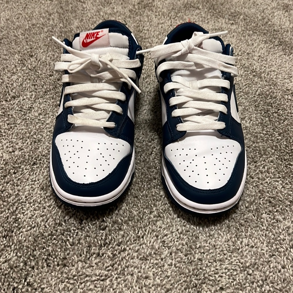 Nike dunks